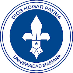 Proyecto Investic net worth