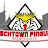 Fischtown Pinguins