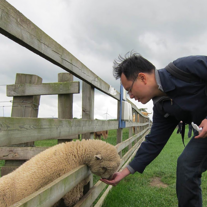 高銘謙Lawrence Ko Logo