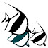 QRzUeB26Es4-channel-avatar-Living Colours Diving Resort