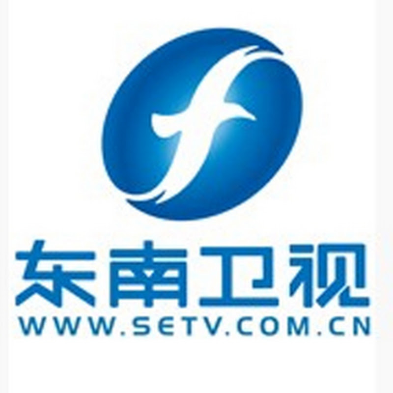 中国东南卫视官方频道 China Southeast TV Official Channel 【欢迎订阅】 Logo