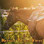 HorsesTravelVlogs logo
