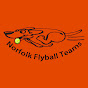 Norfolk Flyball Teams logo