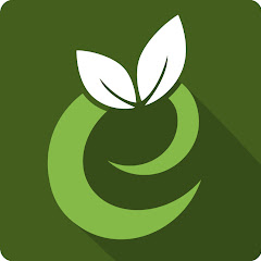 Eco Gadgets avatar