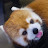 @Cutepandang