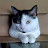 @cathyhowell1294's avatar