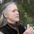 ssC70fDGWQQ-channel-avatar-Hoyheneukko