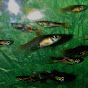 fishgeekutah Endlers Endler Tropical Fish logo