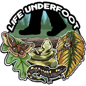 Life Underfoot