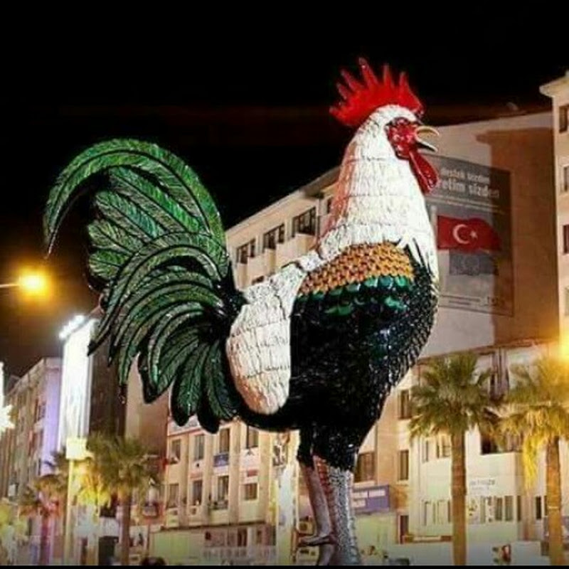 Atibey20