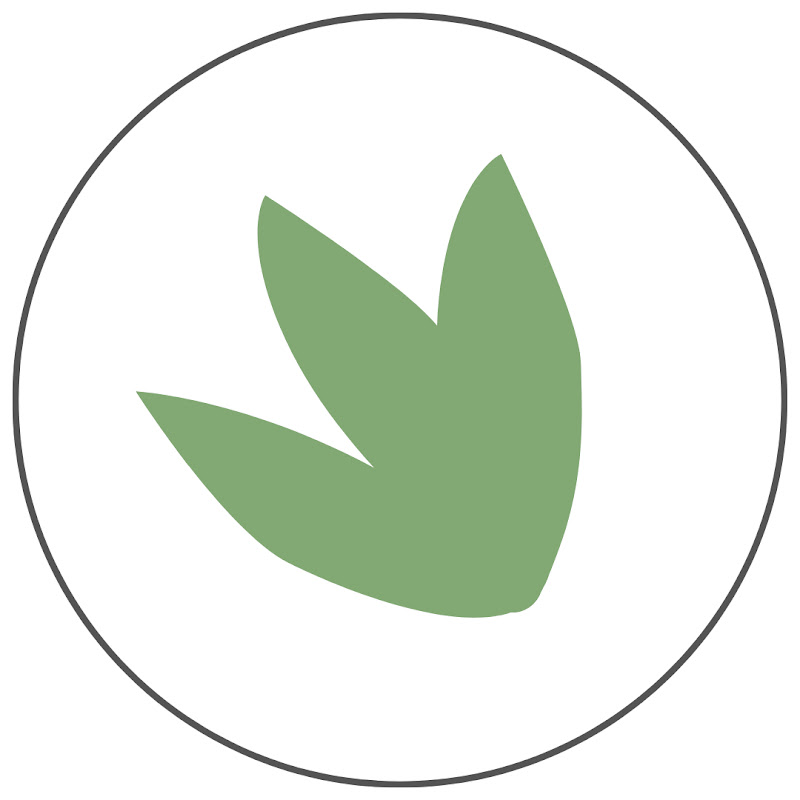Thrive Nutrition