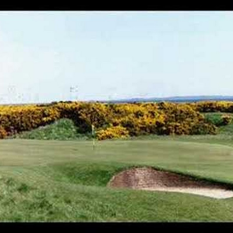 foxypar4