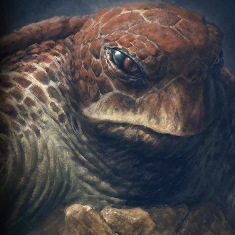 turtle225