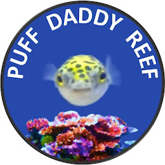 Puff Daddy Reef Avatar
