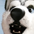 sYHHgwGTLDo-channel-avatar-HuskyTech