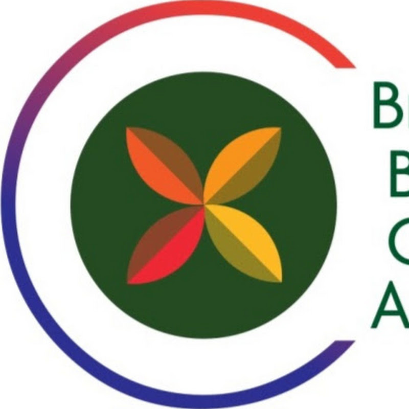 The BBCA