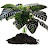 @prochaliha Avatar