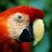 @briantulowiecki6455 Avatar