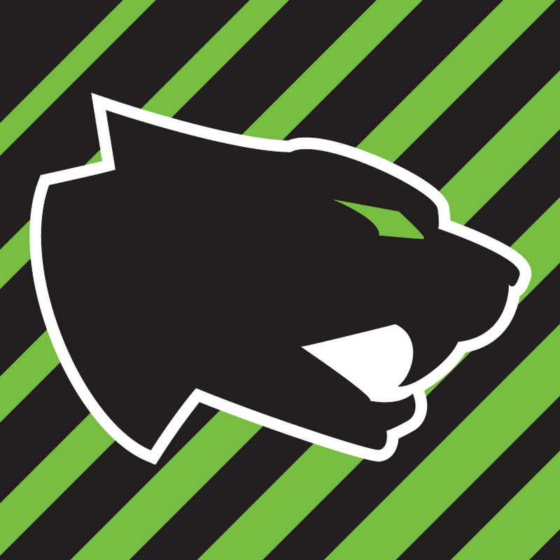 Arctic Cat Service