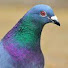 0XXMeflIEm0-channel-avatar-Mr. JayAnd