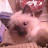 @gonepostal9101 Avatar