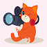 CG8H_dFc0F4-channel-avatar-Foggly