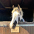 HJ8DNY2dT6Y-channel-avatar-Abbie_x