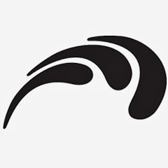 dunedinlibraries