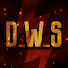 D_W_S Channel
