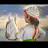 @sandeepshinde9078