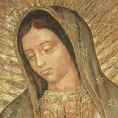 Códice Guadalupano