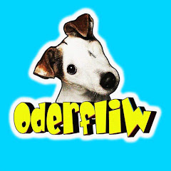 Oderfliw avatar
