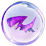 w8hkDjVYXQY-channel-avatar-Max Lebled's 2nd channel