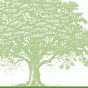 US Eco Products Corporation logo