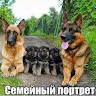 Автор