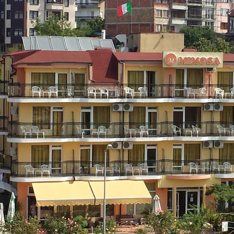 MimosaTzarevo