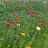 @user-dk2tz8hl5m