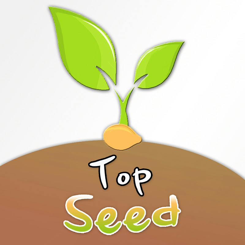 TOP SEED