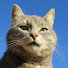 XAXyMzvA4aE-channel-avatar-rinnetie