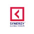 DfAXtrtyLDw-channel-avatar-Synergy Global Forum