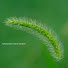 mFVukpxiHMI-channel-avatar-photo・Itoshima
