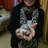 Автор