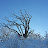@richard-zt1pe