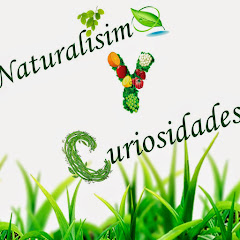 Naturalisimo Y Curiosidades Avatar