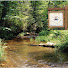 tCf3KwkW63c-channel-avatar-Oconee Camp Gold Mine
