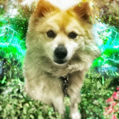 ばいこふらさ