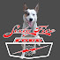 cDcVMZax2KA-channel-avatar-sixtyfiveford