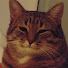 7FTzNaBtxrU-channel-avatar-Igrok 1