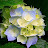 @행복한인생-x4t