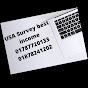 USA Survey Best Income logo